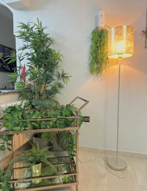 Magnifique appartement 2 mars dans centre-ville